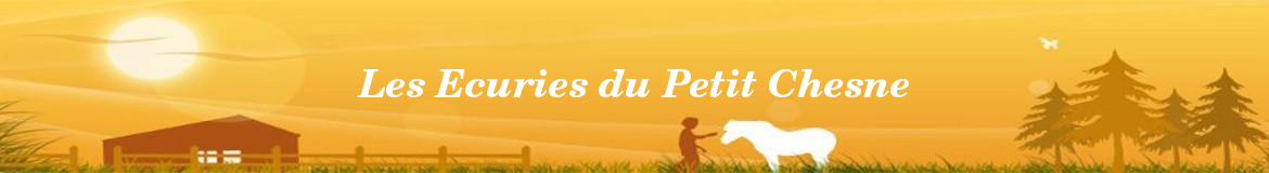 Les Ecuries du Petit Chesne